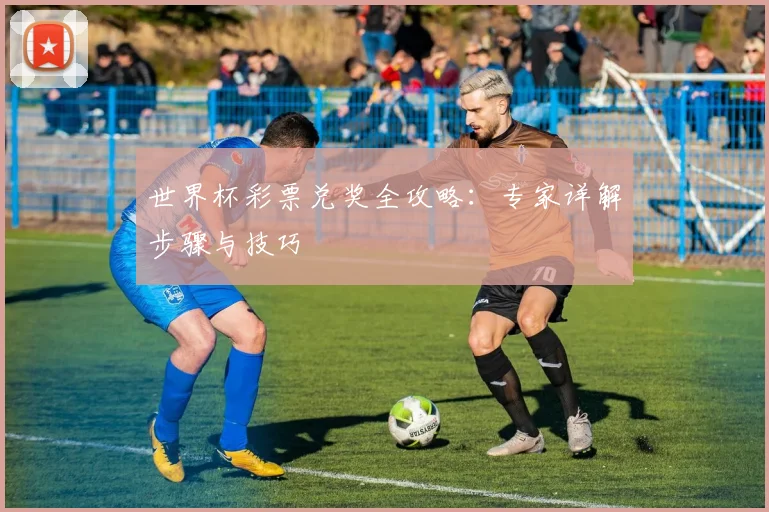 世界杯彩票兑奖全攻略：专家详解步骤与技巧