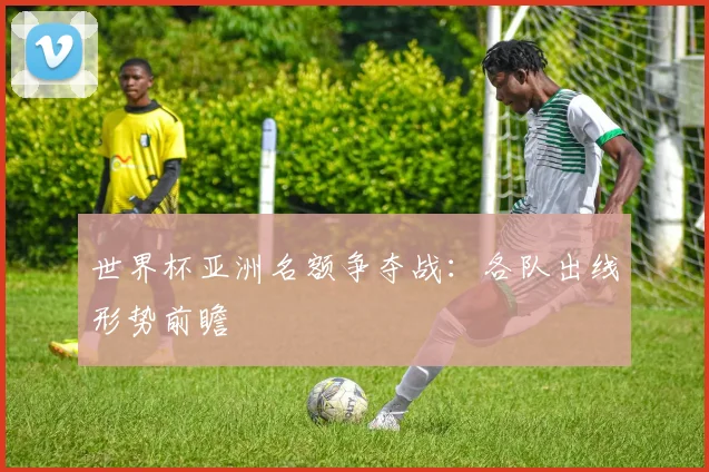 世界杯亚洲名额争夺战：各队出线形势前瞻