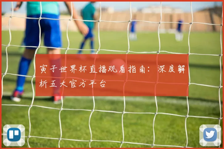 寅子世界杯直播观看指南:深度解析五大官方平台