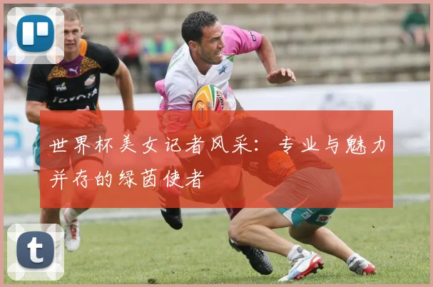 世界杯美女记者风采：专业与魅力并存的绿茵使者