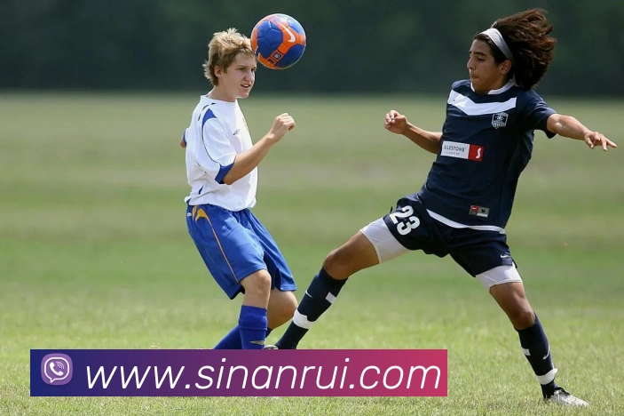 开云在线官网登录入口平台生态图